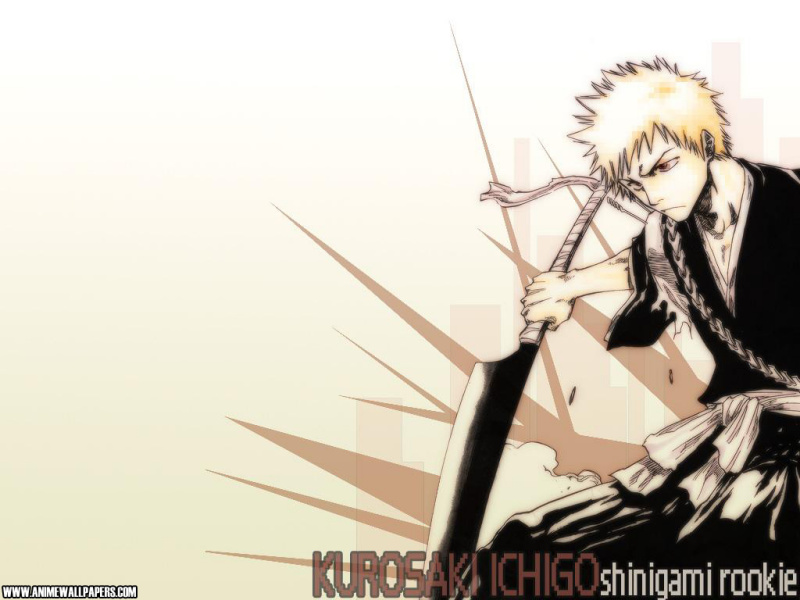 Otaku Gallery  / Anime e Manga / Bleach / Wallpapers / 123.jpg